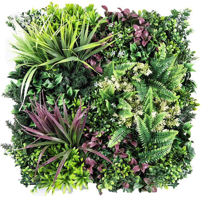 JARDIN VERTICAL AMAZONIA B